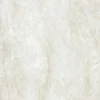 Taj Mahal Shell 30X60 Lucido - Interno