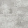 Colosseo Plus Grigio 30x60 - Esterno